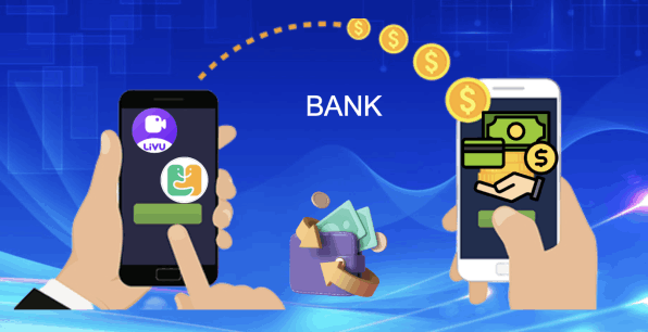 metodo de pago banco - livu yaar app